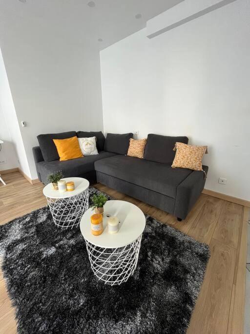 Superbe Appartement Moderne En Rez-De-Chaussee Ozoir-la-Ferrière Екстериор снимка