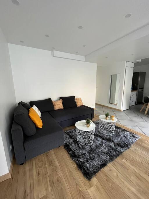 Superbe Appartement Moderne En Rez-De-Chaussee Ozoir-la-Ferrière Екстериор снимка