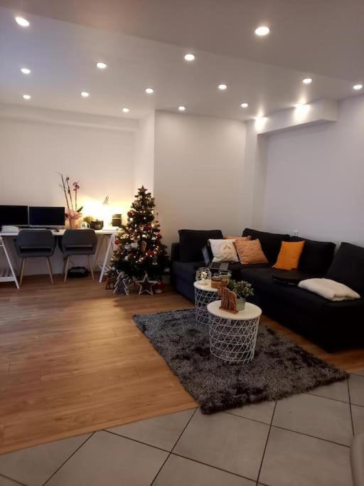 Superbe Appartement Moderne En Rez-De-Chaussee Ozoir-la-Ferrière Екстериор снимка