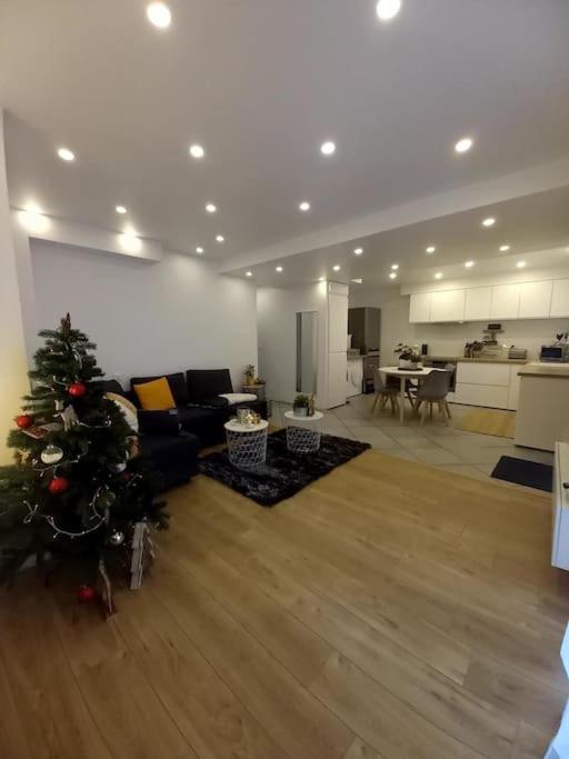 Superbe Appartement Moderne En Rez-De-Chaussee Ozoir-la-Ferrière Екстериор снимка